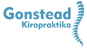 Gonstead Kiropraktika